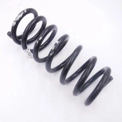 Muelle helicoidal delantero único OEM Mopar 68172136AB para Ram 2500 2014-2018 Foto 1 de 2