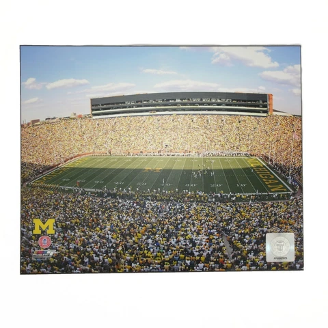Michigan State Wall Art Plaque Football Stadium 'The Big House Renovated' 8"x10" Cover