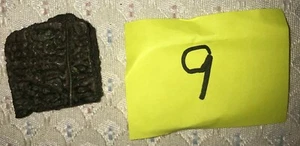 Fossilized Turtle Shell Fragment from Florida, Pleistocene Epoch (9) - Picture 1 of 3