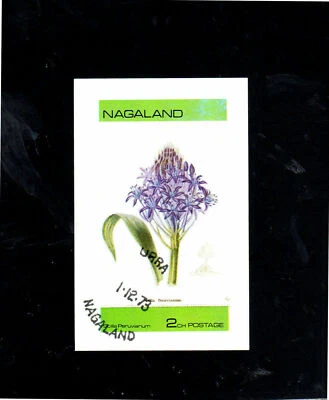 NAGALAND OF INDIA 1973  FLOWER   MINT  VF NH  O.G S/S CTO  (nag1) - Image 1 of 2