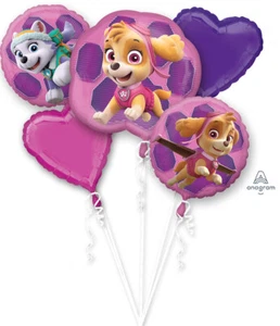Paw Patrol Girls Party Supplies Balloon Decoration Bouquet - Picture 1 of 1