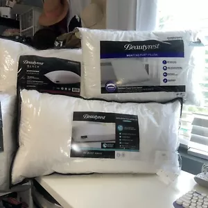 BEAUTYREST oca bianca morbida rotonda, piumino europeo, ipoallergenico, a scelta di U - Foto 1 di 15