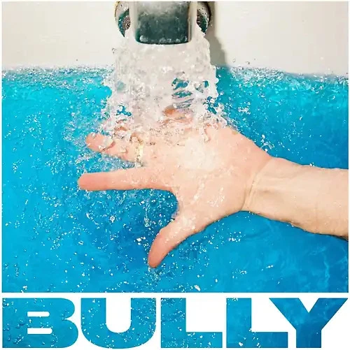 Bully - Sugaregg - Bild 1 von 1