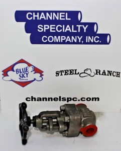 1/2" 800 Class Stainless Steel Butt-Weld Gate Valve - Picture 1 of 3