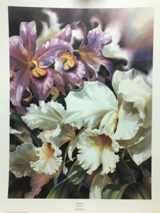 Darryl Trott Orchids I Floral Flower Garden Signed & Numbered Art Print - Picture 1 of 1