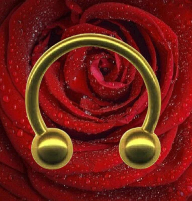 I PIERCING HUFEISEN mit INNENGEWINDE I Echt 585 Massiv Gelbgold I 46016-8 I - Bild 1 von 4