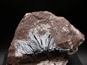 PYROLUSIT - OUARZAZATE, MAROKKO - 515 g - Bild 1 von 2