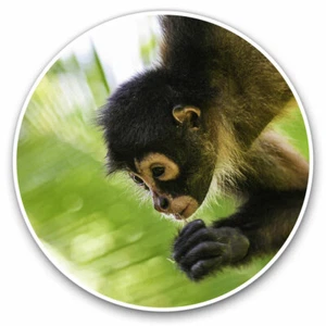 2 x Vinyl Stickers 20cm - Cute Spider Monkey Baby Cool Gift #16824 - Afbeelding 1 van 9