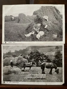 Farming Making Hay Walthamstow Education Report 1909 Postcards Two Job Lot - Picture 1 of 5