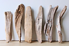Treibholz Schwemmholz Driftwood 6 Hölzer Terrarium Dekoration 28-35 cm **E91**