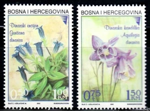 SELLOS TEMA FLORES. BOSNIA HERZEGOVINA 2002 FLORA/ GENTIANA DINARICA. Nuevos 2v. - Imagen 1 de 1