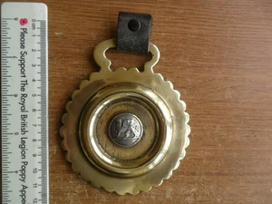 Vintage Bi Metal Welsh Dragon Horse Brass Medallion Bridle Ornament - Picture 1 of 3