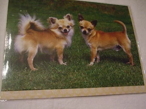 KARTE + UMSCHLAG - Hund CHIHUAHUA LANGHAARIG - Bild 1 von 1