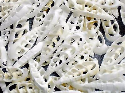  10 Center Cut White Cerithium Sea Shells Slices Uniformity Beauty Quality • 8.53€