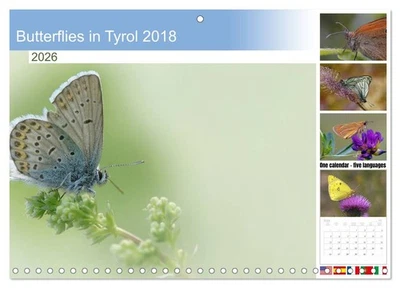 Mariposas en Tirol 2018 (Calendario de pared mensual 2026 16,5 x 23,4 (abierto)), TERNERO Foto 1 de 4
