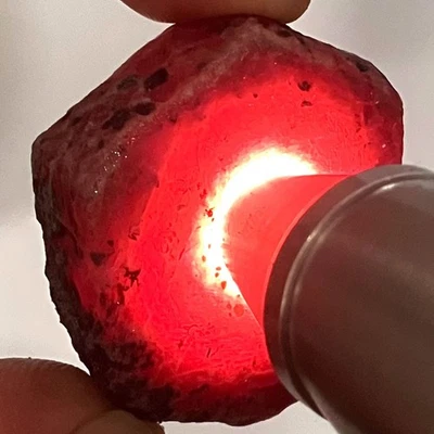 219.58 Ct - Natural 100% Unheated Beautiful Jumbo Size Rough Red Ruby Madagascar - Image 1 of 4