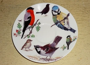 ROY KIRKHAM ' Garden Birds 2004' PLATILLO DE REPUESTO SOLO porcelana de hueso fino 6,75 " - Imagen 1 de 3