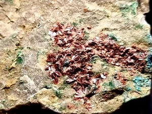 ☆127,g Erythrin Tyrolit Mikrokristalle💎Top Mineral⚒️La Encontrada Mine Spanien - Bild 1 von 12