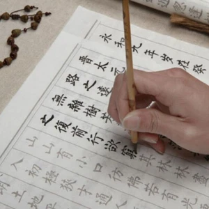 10 Sheet Rice Xuan Paper Lantingxu Copybook Water Ink Brush Chinese Calligraphy - Picture 1 of 5