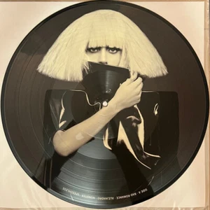 Lady Gaga – The Fame Monster - Picture Disc LP Vinyl Record 12" - Brand NEW - Imagen 1 de 4