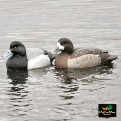 AVERY GREENHEAD GEAR GHG PRO-GRADE FOAM FILLED BLUE BILL SCAUP DUCK DECOYS - Image 1 of 3