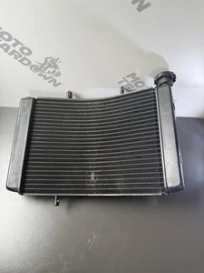 Radiador y ventilador Triumph Street Triple 675R 2008-2011 675R radiador 2010 OEM - Imagen 1 de 24