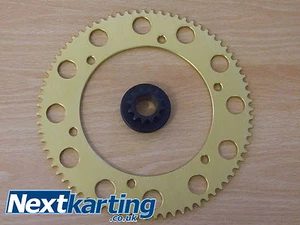 Kart Rotax Max Rear Sprocket & Front Sprocket Set 11T 12T 13T 14T - Foto 1 di 1