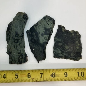 Kambaba Jasper Bundle - Rough Slab Lapidary Cabbing Geology - Picture 1 of 3