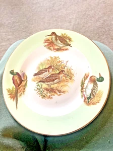 Denbro Bone China - Side Plate 15cm - Various Game Birds Made in England - Picture 1 of 4