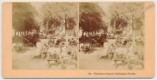 FLORIDA SV - Tallahassee - Washington Square - Kilburn Bros 1880s