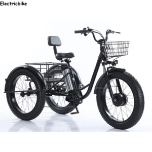 Premium Electric Cargo Trike 20" 48V Ideal Low-Maintenance Commuting E-Trike - Picture 1 of 14