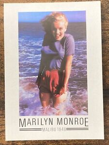 Marilyn Monroe Malibu 1948 Postcard 