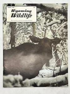 Wyoming Wildlife Magazine March 1967 Cover Artist: George Sura - Imagen 1 de 3