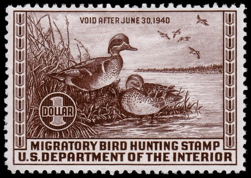 United States Hunting Permit Stamp Scott RW6 (1939) Mint H VF, CV $115.00 W - Image 1 of 1