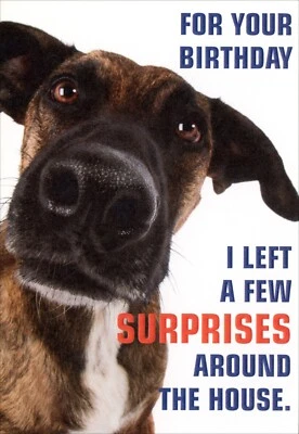 Funny Animal BIRTHDAY Card, Dog Nose Surprises by Recycled Paper Greetings +✉ - Image 1 of 4