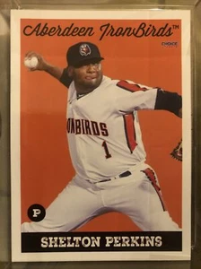 Aberdeen Ironbirds Shelton Perkins RC 2019 novato Baltimore Orioles - Imagen 1 de 1