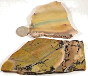 2 Total 10 Ounces 1 Fluorite 1 Brecciated Jasper Free Shipping 1st Pic Wet #3390 - Picture 1 of 4