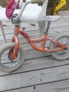 Schwinn Tigress 12" bike W/Schwinn Accessories. Air Filled Tires - Picture 1 of 10