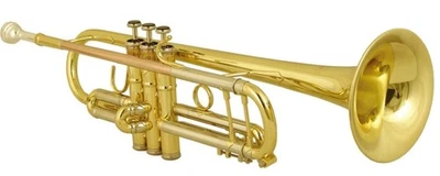 Trompeta Wisemann 0901TR, BB, latón lacado, tubo de plomo de latón rosa, estuche, boquilla Foto 1 de 4