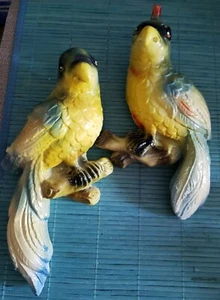 RARE PAIR MALE & FEMALE 1940'S CHALK WEAR CARNIVAL PRIZE WALL PARROTS - Picture 1 of 12