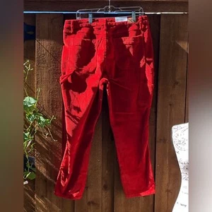 Judy Blue Corduroy Carpenter Stretch Slim Fit High Waist Pants Rust Size 31 NWT - Picture 1 of 6