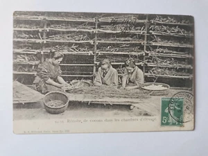 CPA JAPON - Récolte de cocons dans les chambres d'élevage - Imagen 1 de 2