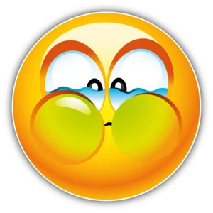 Calcomanía adhesiva para parachoques de coche envenenado Smile "TALLAS" - Imagen 1 de 1