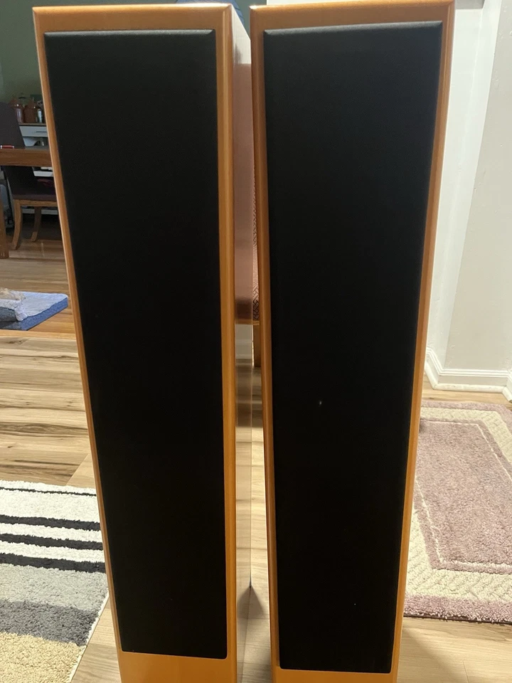 Viesnna Acoustic Floor Standing Speakers for Home - Image 1 of 4
