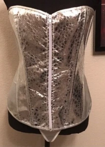 Metallic Silver 2pc Corset Bustier Shapewear G String Panties Lingerie Plus 4X - Picture 1 of 5