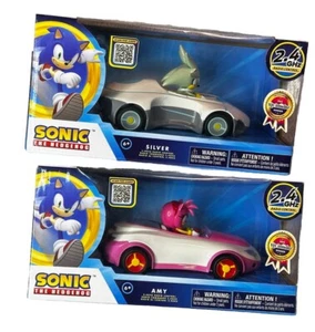 Sonic the Hedgehog Amy & Silver 2.4 GHZ Radio Controlled Car Toys Team Racing - Picture 1 of 12