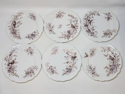 6 Superbes Assiettes Anciennes XIXème En Porcelaine Blanche Décor Aux Oiseaux - Photo 1/4