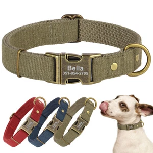 Personalised Nylon Dog Collars with Laser Engraved Name Plate Buckle Closure - Picture 1 of 20