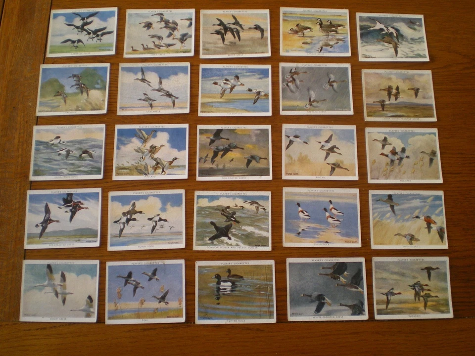 Set Players WILDFOWL  (Large) 1937 cigarette cards in VG condition - Image 1 of 1