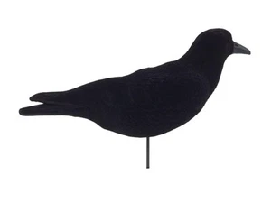 FLocked Crow Shell Decoy Magnum Size Extra Large Corvid Decoy - Picture 1 of 1